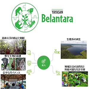 自然保護、ベランターラ基金、Belantara Foundation