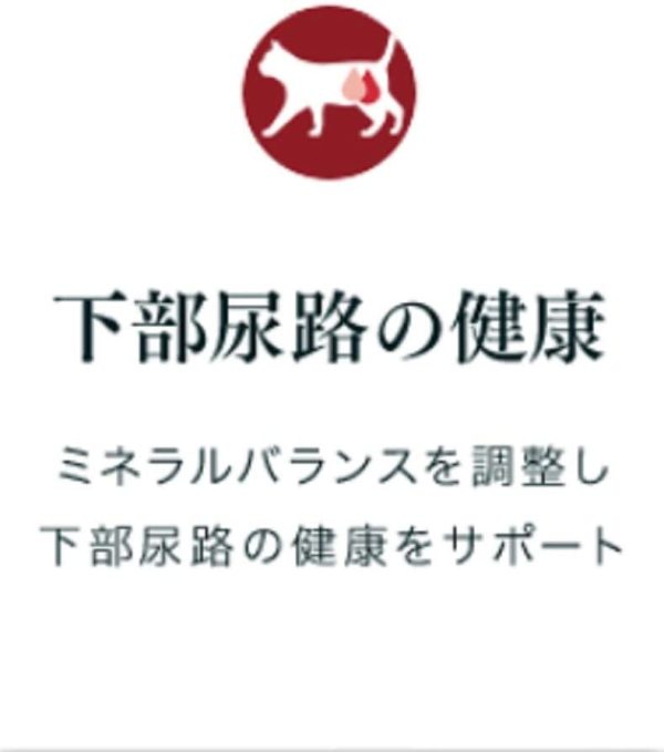 ピュリナ ワン キャットフード キャット パウチ 避妊?去勢後から全ての年齢に 避妊去勢した猫の体重ケアチキン 70g×12個 (まとめ買い) - 画像 (5)