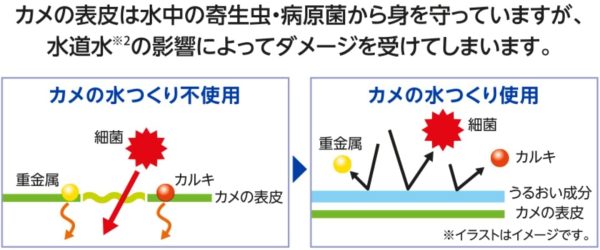 テトラ レプトセイフ カメの水つくり 500ml - 画像 (2)