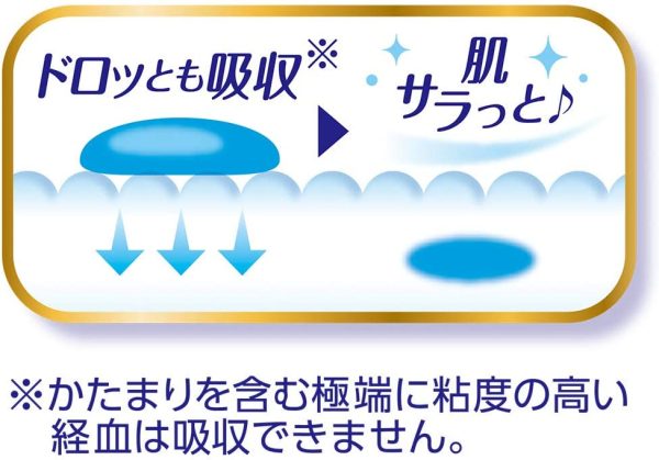 ソフィ はだおもい 極うすスリム 多い昼用~ふつうの日用 21cm 羽つき 72枚(24枚×3)〔ナプキン〕 - 画像 (2)