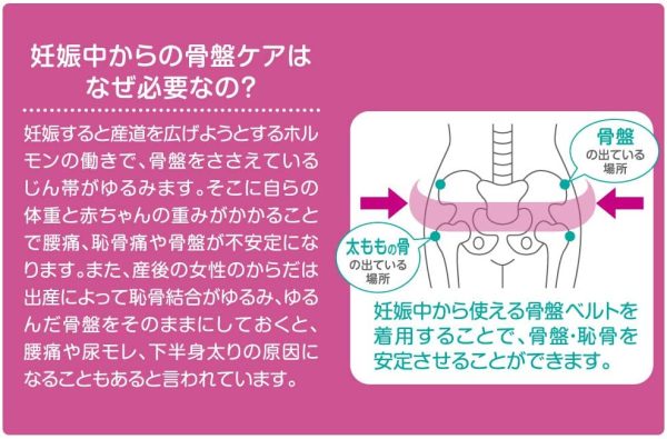 ピジョン 妊娠中から使える骨盤ベルト LLサイズ (x 1) - 画像 (5)