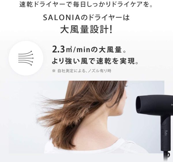 SALONIA サロニア スピーディーイオンドライヤー グレー ヘアドライヤー 大風量 速乾 マイナスイオン コンパクト 軽量 SL-013GR - 画像 (6)