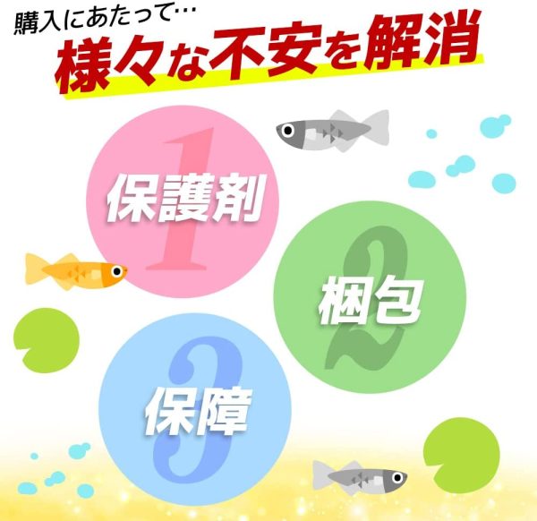 【保障2匹付き】 メダカ ミックス 20匹 多種多色 生体 種類 めだか 成魚 幹之 セット 水草 ラメメダカ ダルマメダカ 餌 高級 販売 水槽 ビオトープ 鉢 三色 卵 餌 熱帯魚 観賞魚 金魚 アクアリウム テラリウム - 画像 (3)