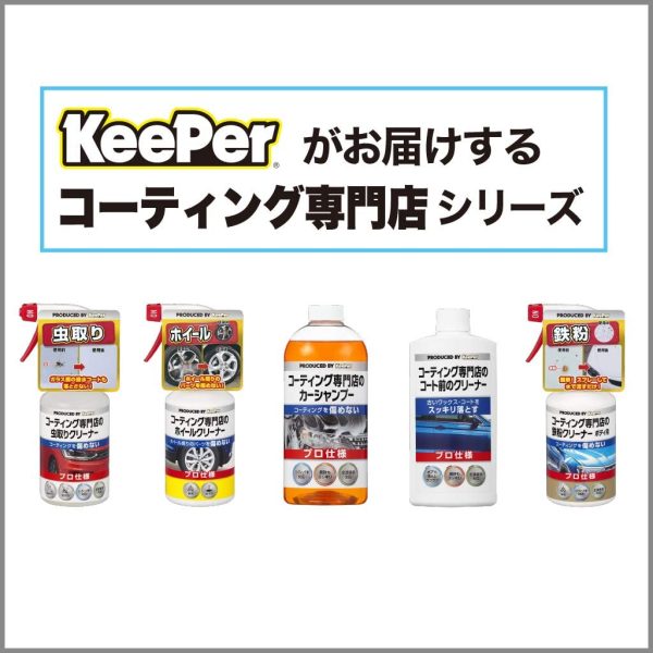 技研(KeePer技研) コーティング専門店の鉄粉クリーナー ボディ用 鉄粉除去 300mL I-06 - 画像 (3)