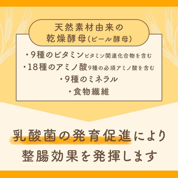 エビオス整腸薬 504錠 【指定医薬部外品】 EBIOS 乾燥酵母(ビール酵母)+乳酸菌3種 便秘 軟便 整腸 - 画像 (4)