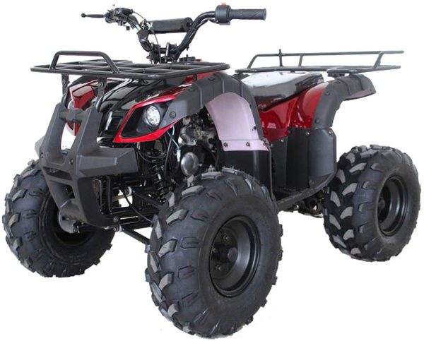 X-PRO キッズ ATV 4輪 125cc ATV クワッドフォーウィラー ユース ATV 4 ホイール リモコン付き ビッグ16インチタイヤ 手袋、ゴーグル、ハンドグリップ付き(バーガンディ)