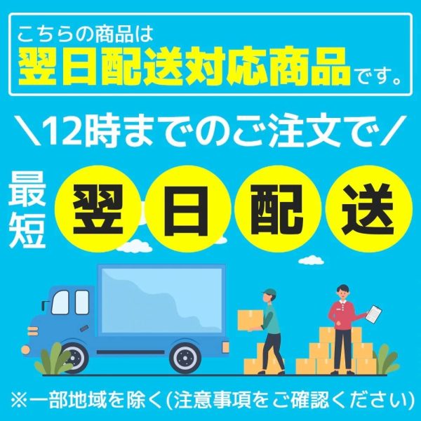 【保障2匹付き】 メダカ ミックス 20匹 多種多色 生体 種類 めだか 成魚 幹之 セット 水草 ラメメダカ ダルマメダカ 餌 高級 販売 水槽 ビオトープ 鉢 三色 卵 餌 熱帯魚 観賞魚 金魚 アクアリウム テラリウム - 画像 (6)