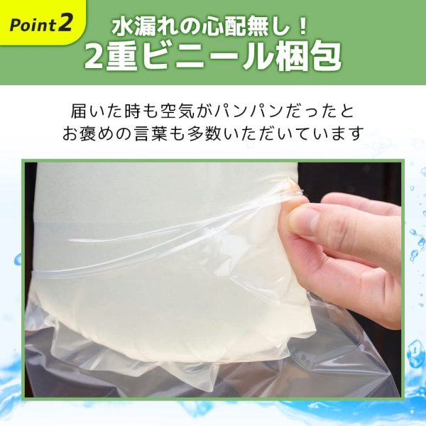 【保障2匹付き】 メダカ ミックス 20匹 多種多色 生体 種類 めだか 成魚 幹之 セット 水草 ラメメダカ ダルマメダカ 餌 高級 販売 水槽 ビオトープ 鉢 三色 卵 餌 熱帯魚 観賞魚 金魚 アクアリウム テラリウム - 画像 (5)