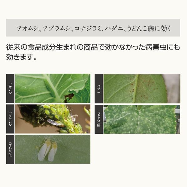 アースガーデン 食品原料99.9%殺虫殺菌剤 ロハピ 1000ml - 画像 (4)