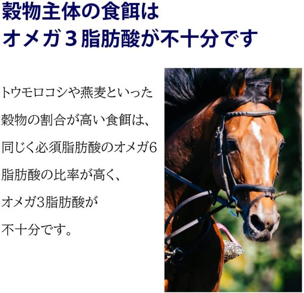 エヌ?ビー?アール 元祖あまに煮 馬用飼料 1ケース(250g 40個入り)黒糖入り 亜麻仁 アマニ 茶 - 画像 (5)