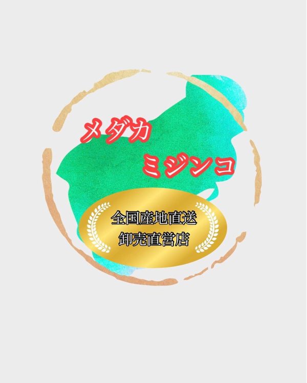 ミジンコ 【3000～10000匹 】 グリーンウォーター付き 売り切れ御免 めだかの餌に！！みじんこ ゾウリムシ めだか メダカ PSB - 画像 (2)