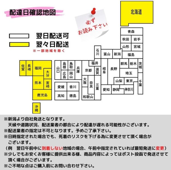 メダカ 生体 高級 【ミックスメダカ 20匹+餌セット】 ミジンコ ゾウリムシ 生クロレラ PSB と同梱包可能 - 画像 (2)