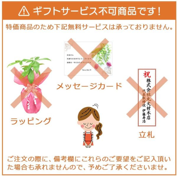 観葉植物お試し5鉢セット【限定商品】何が来るかお楽しみ - 画像 (3)