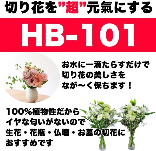 植物活力剤 HB-101 即効性 原液 5L - 画像 (4)