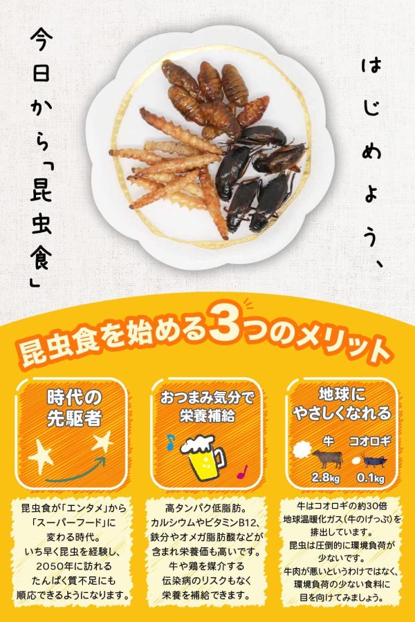 buggui 昆虫食 食べやすい昆虫ミックス 乾燥より美味しい イナゴ オケラ ゲンゴロウ 7.0g - 画像 (7)