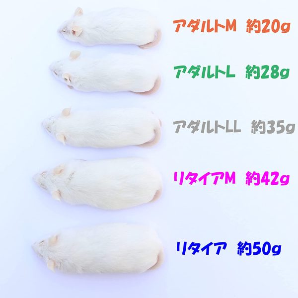 SAfarm 国産冷凍マウス ピンクM 20匹