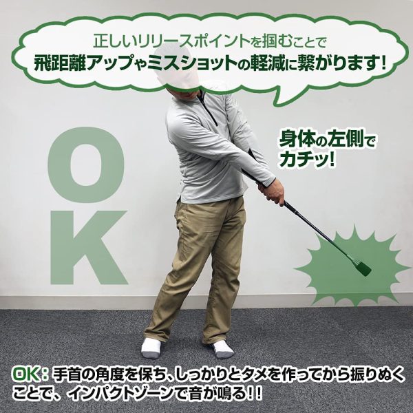 ダイヤゴルフ(DAIYA GOLF) スイング練習器具 ダイヤスイングシリーズ 素振り 正しいリリースポイントを掴む 飛距離アップ 効果的なインパクト 初心者 矯正 自宅?室内練習