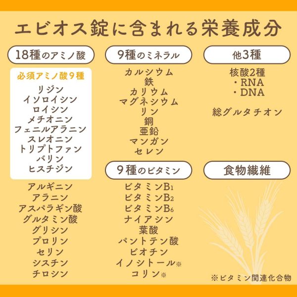 エビオス錠 1200錠 【指定医薬部外品】胃腸?栄養補給薬 - 画像 (2)