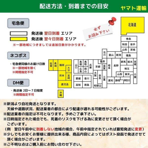 ミジンコ　タマミジンコ　10,000匹　メダカ　ゾウリムシ　PSB　メダカ飼育　めだか - 画像 (3)