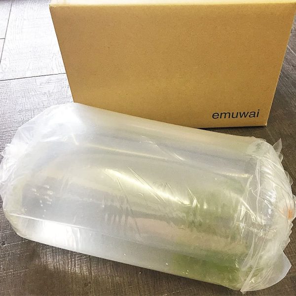 ミナミヌマエビ 100匹 エビ 飼育用?餌用にも 【生体】emuwai - 画像 (4)