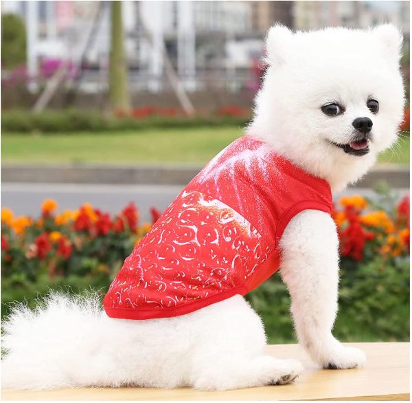 ふく福 可愛い ペット犬服 通気性 メッシュ犬Ｔシャツ 犬の洋服 ドッグウェア 果物柄 小中型犬服 犬 猫 パジャマ ベスト 人気 仮装 日焼き防ぐ 脱毛保護 お散歩 お出かけ (L, いちご1) - 画像 (4)