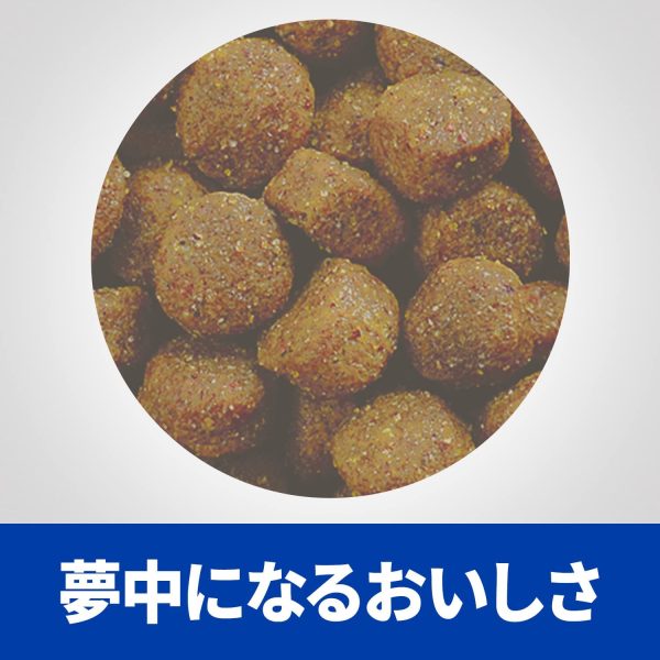 ヒルズ プリスクリプション?ダイエット（特別療法食）〈犬用〉 z/d ゼッドディー 小粒 ドライ 1kg - 画像 (4)