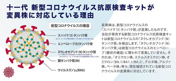 十一代 新型コロナウイルス抗原検査キット その場でスピード 鼻ぬぐい液検査タイプ オミクロン株、ステルスオミクロン株、オミクロン（BA.1/BA1.1/BA.2）対応 研究用 (1個セット)