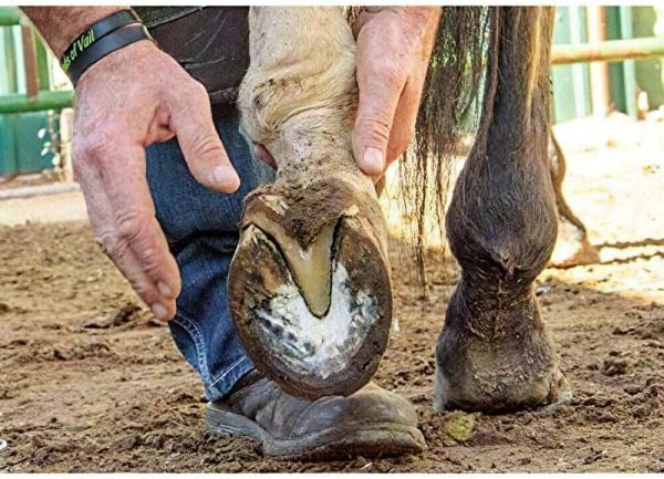 牛の蹄トリミングディスク、蹄トリムブレード木彫りディスクツール、馬、牛、山羊の足トリマー用の6つの鋭いブレードトリマーディスクプレート - 画像 (8)