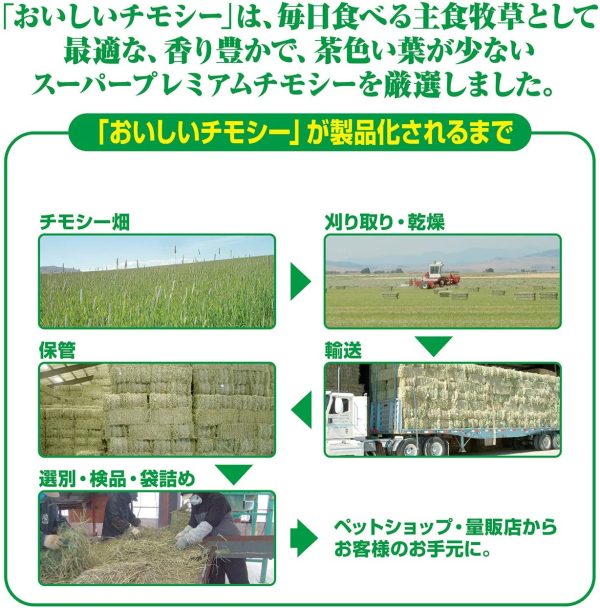 ジェックス おいしいチモシー1.1kg 1.1キログラム (x 1)