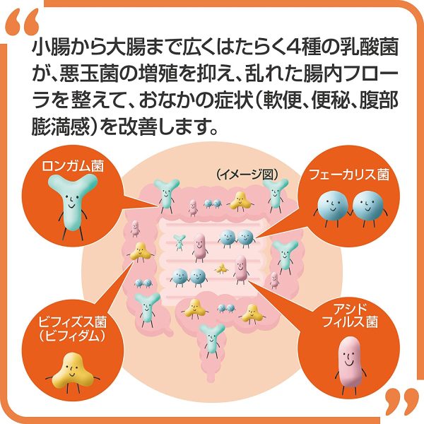 大正製薬 新ビオフェルミンSプラス 45錠 5日分 [指定医薬部外品] 整腸剤 [乳酸菌/ビフィズス菌 配合] 腸内フローラ改善 便秘や軟便に - 画像 (3)