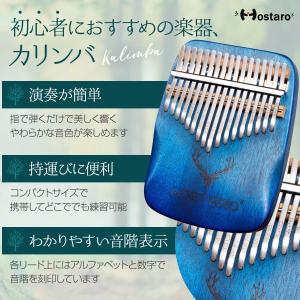 Hostaro カリンバ 親指ピアノ ソリッド 17キー 人気 高級保護ケース付き 清掃クロス付き アフリカ楽器 初心者向 日本語マニュアル (グラデーションブルー)