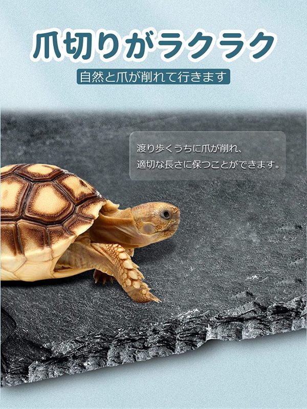 Kaiyopop 亀乾燥ボード カメ 爪を磨く パッド 保温 保湿 の岩 溶岩 石 フードプレート 飼育ケース内装 底砂 床材 10x10cm