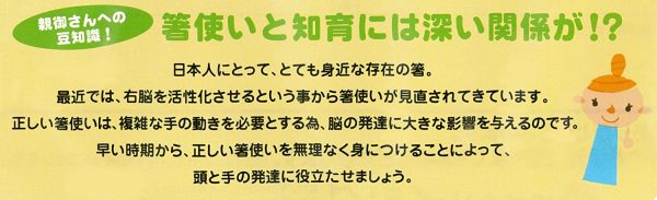 イシダ 子供用矯正箸 三点支持箸 右利き用 14cm - 画像 (6)