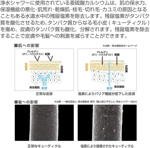 【Amazon.co.jp限定】 SANEI 浄水切替シャワー 残留塩素除去 カートリッジ2本付 日本アトピー協会推薦品 PS7964-80XA-MW2-EC ホワイト - 画像 (8)