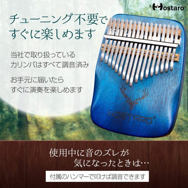 Hostaro カリンバ 親指ピアノ ソリッド 17キー 人気 高級保護ケース付き 清掃クロス付き アフリカ楽器 初心者向 日本語マニュアル (グラデーションブルー) - 画像 (2)