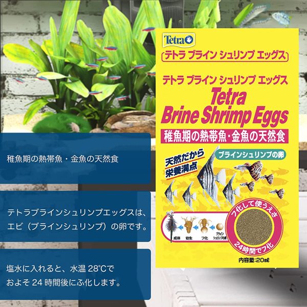 テトラ (Tetra) ブラインシュリンプエッグス 20cc 熱帯魚 エサ 卵 稚魚 - 画像 (3)