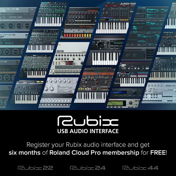 ローランド USBオーディオインターフェイスRoland RUBIX-22